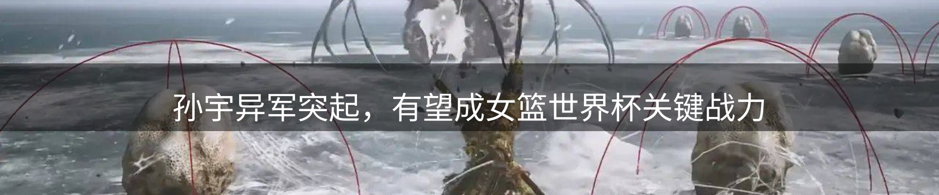 品牌资讯