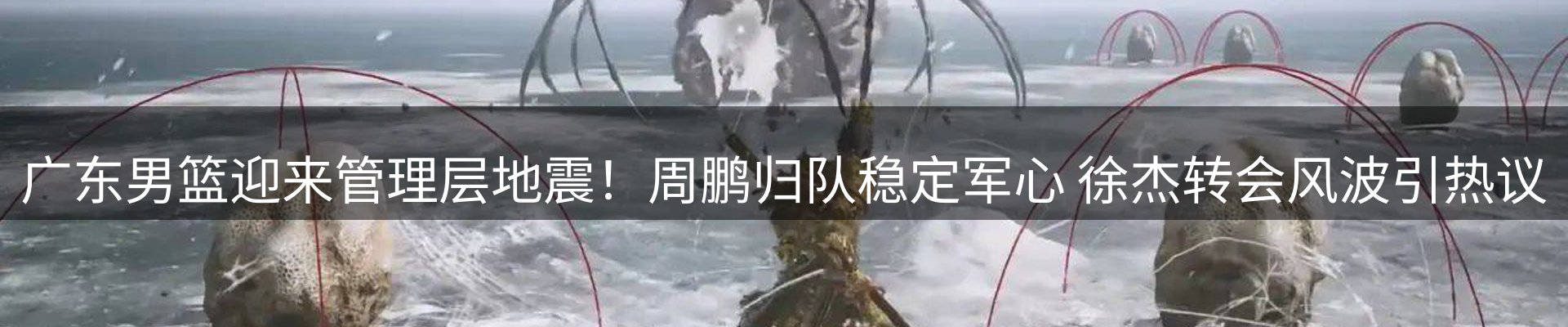 品牌资讯