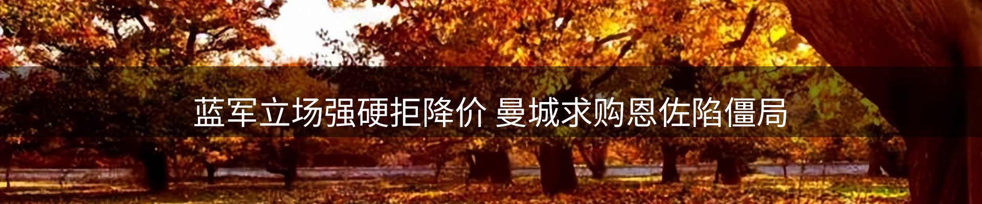 品牌资讯