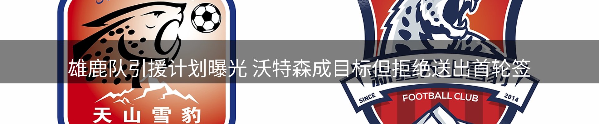品牌资讯